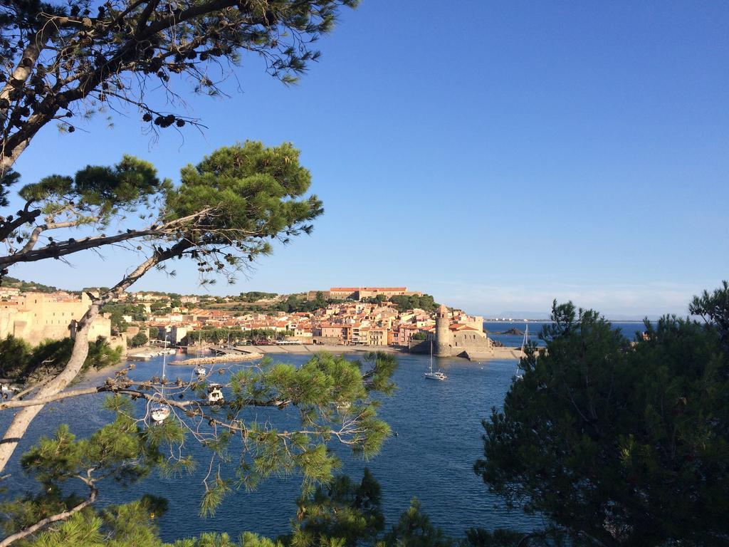Hotel Ibis Styles Collioure Port Vendres Zewnętrze zdjęcie