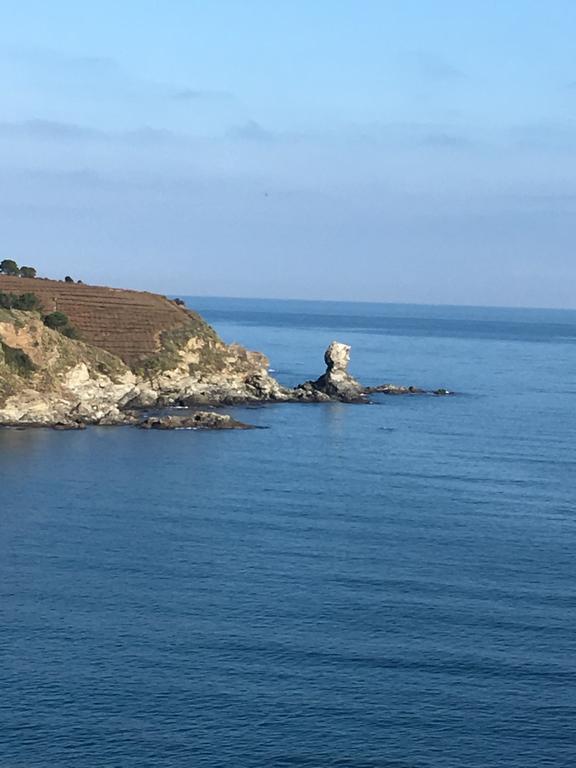 Hotel Ibis Styles Collioure Port Vendres Zewnętrze zdjęcie